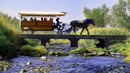 Japan Arashiyama Kyoto Horse Carriage Experience + Sagano Train + Hozugawa Rafting Tickets Included one-day tour Day Tours