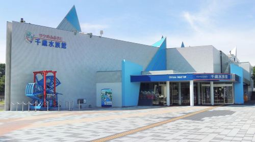 Chitose Salmon Aquarium - HolidaySG