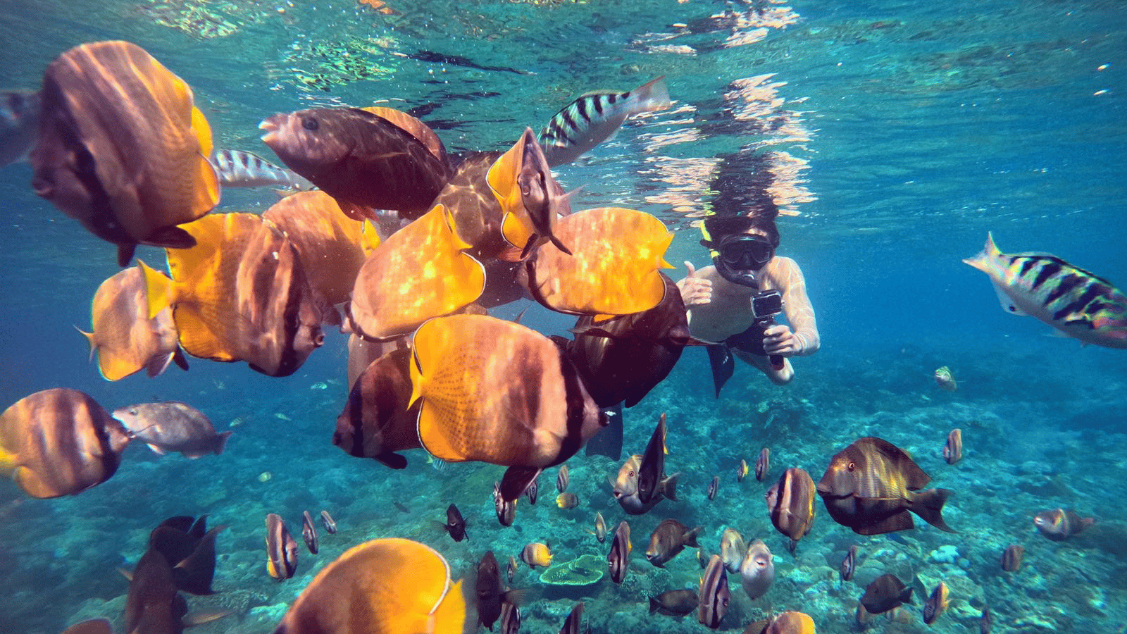 Nusa Penida Snorkeling tour : Manta Bay & Crystal Bay