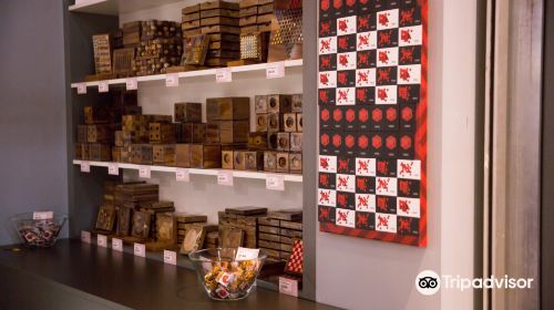 Museum of Illusions