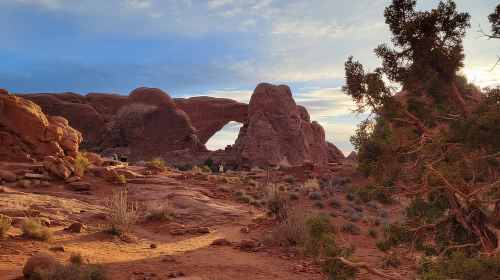 Morning Arches National Park 4x4 Tour