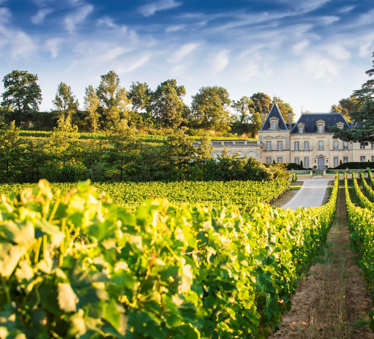 From Bordeaux: Private Wine Tour to Saint-Émilion