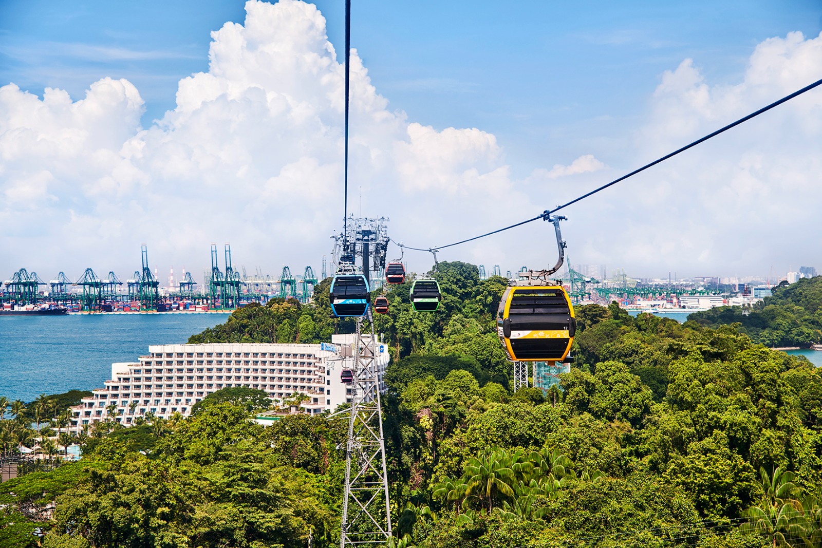 Cable Car + Arbora - HolidaySG