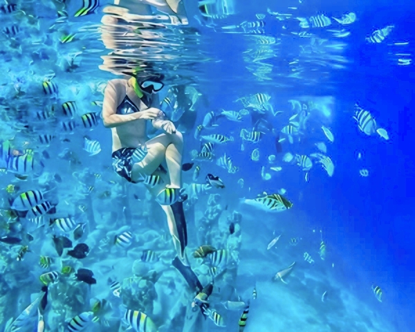 Half-Day Private Guided Snorkeling Tour in Gili Islands Lombok - HolidaySG