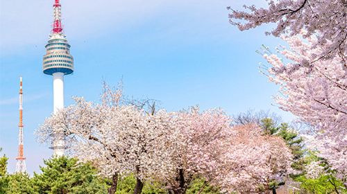 Namsan Mountain Park