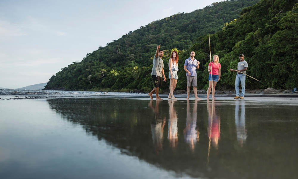 Half Day Morning Sightseeing Experience Of The Port Douglas Daintree Region