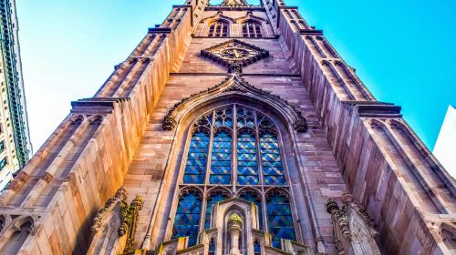 1-Day Tour in New York City, USA [shared transportation] Day Tours