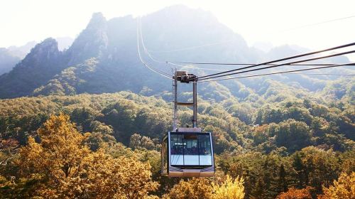 From Seoul: Seoraksan National Park and Nami Island Day Trip Day Tours