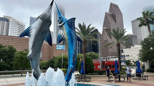 Houston City Tour and Downtown Aquarium All Rides Pass Day Tours