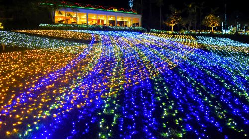Southeast Botanical Gardens - HolidaySG