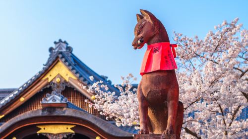 1-day tour to Kyoto Fushimi Inari Taisha + ancient temples in Kyoto Day Tours