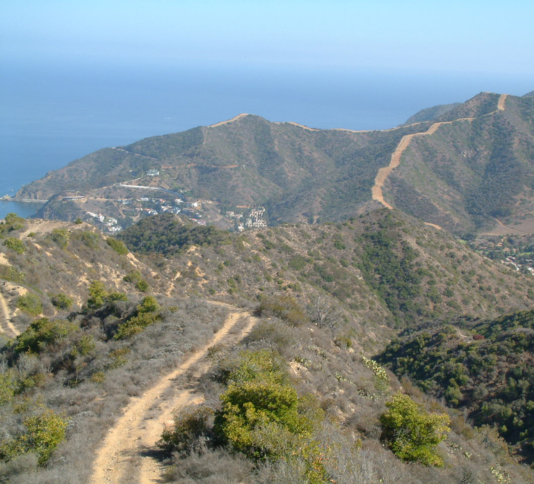 Avalon, Catalina Island: 2-Hour Inside Adventure Tour