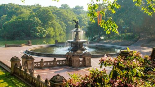 NYC: Official Central Park Walking Tour Day Tours