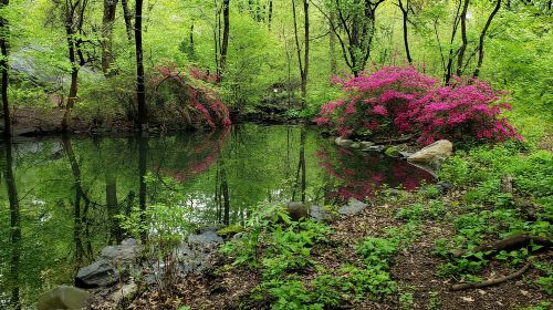 New York City: Central Park Walking Tour Day Tours