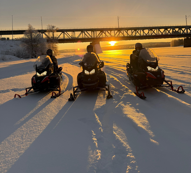 Rovaniemi: Arctic Snowmobiling Ride with Local Guide