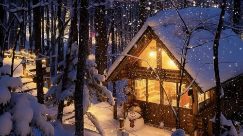Hokkaido Scenic Highlights: Asahiyama Zoo, Biei Blue Pond & Seasonal Farm Tomita | 1-Guest Guaranteed Departure Day Tours