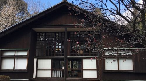 Private Edo-Tokyo Open Air Architectural Museum Tour