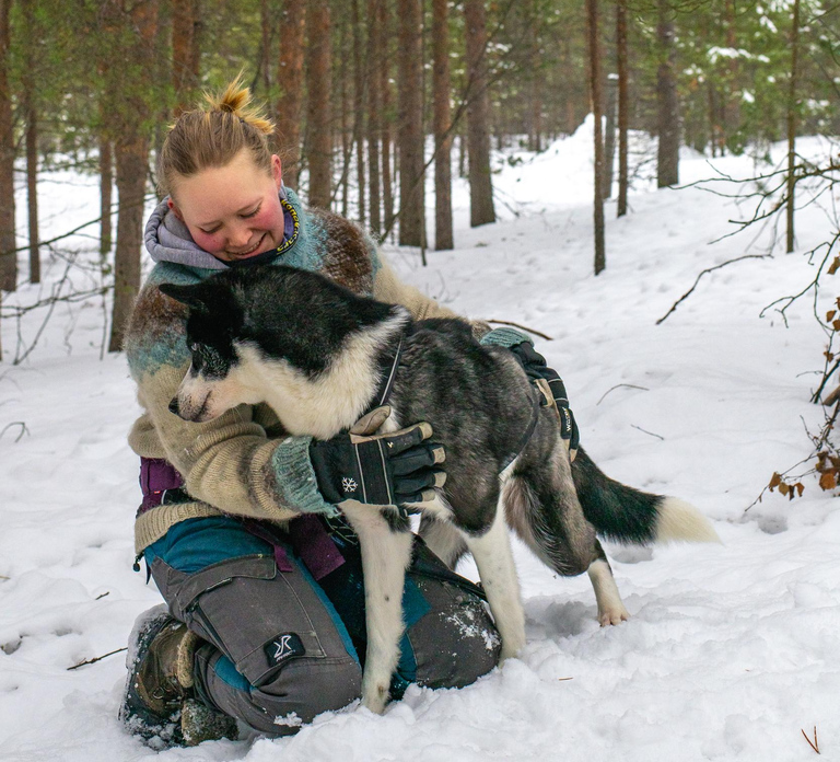Ivalo - Saariselkä: Husky Walk in the Wilderness