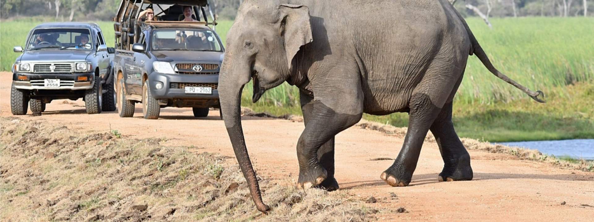 Private Wilpattu National Park Safari Drive Tour from Anuradhapura