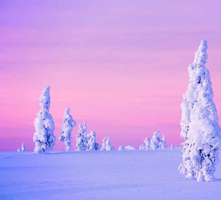 Rovaniemi: Half-Day Snowmobile & Ice Fishing Experience