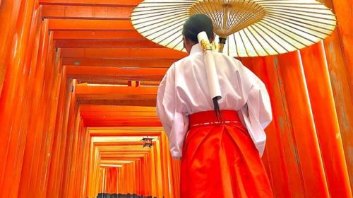 [Osaka Departure] Kyoto & Nara One-Day Tour | Kiyomizu-dera Temple + Fushimi Inari Shrine + Nara Park (13-person small group · English service · pure play, no-shopping tour) Day Tours