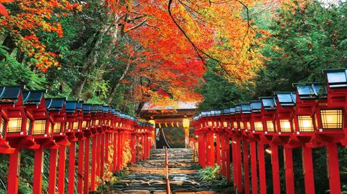 Kyoto Kifune Shrine + Arashiyama + Sanzen-in 9-person premium small group, fall foliage viewing