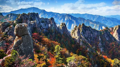 Seoul: Mt.Seorak, Nami Island, No Shopping(+RailBike Option) Day Tours