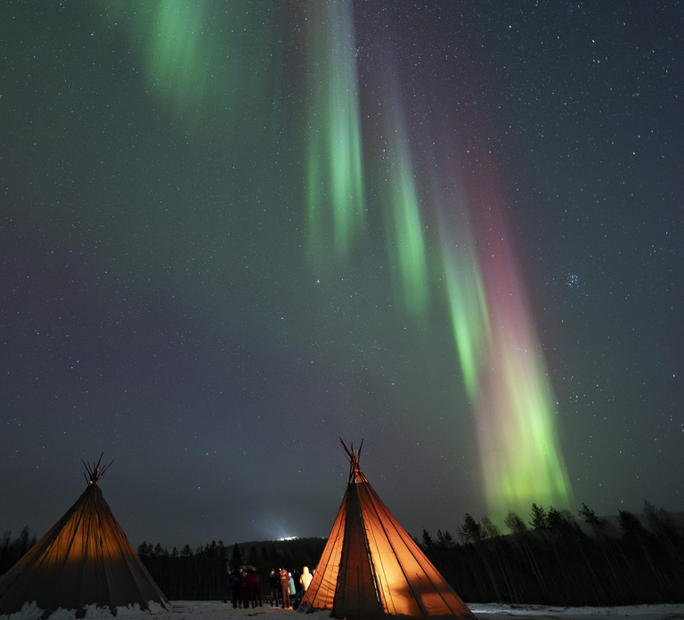 Rovaniemi: Lapland Northern Lights Tour with BBQ