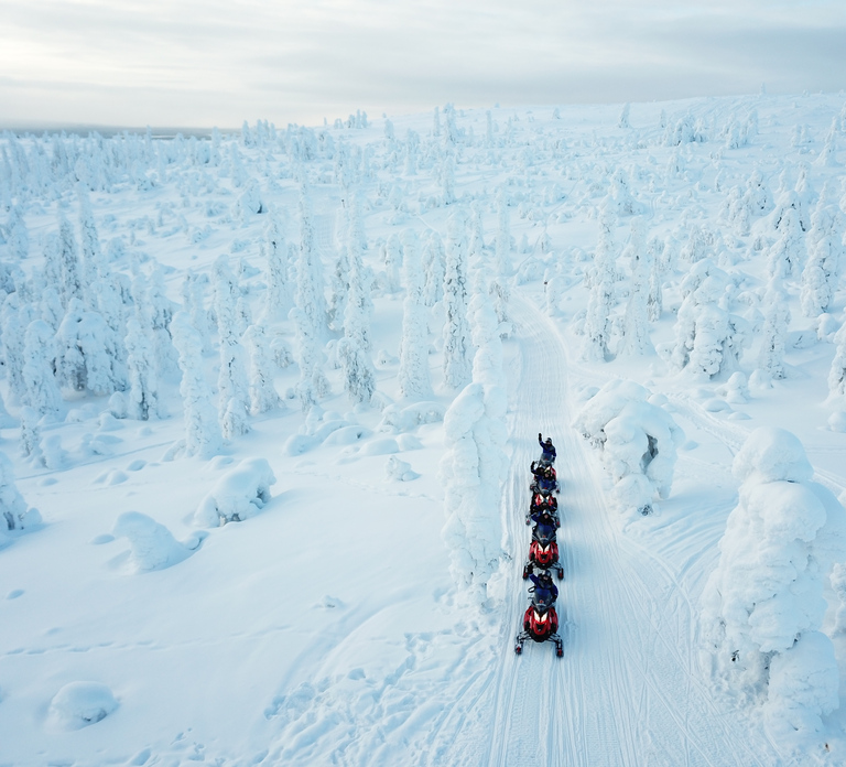 Levi: Forest Snowmobile Safari