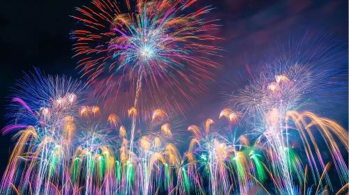 Kamakura, Japan: Atami Fireworks one-day tour(Includes Atami Fireworks Boat Viewing Experience) (Chinese/English) Day Tours