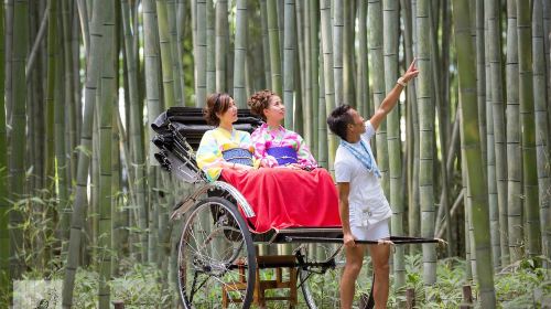 [Rickshaw Ebisu-ya] Kyoto Arashiyama Rickshaw Private car tour