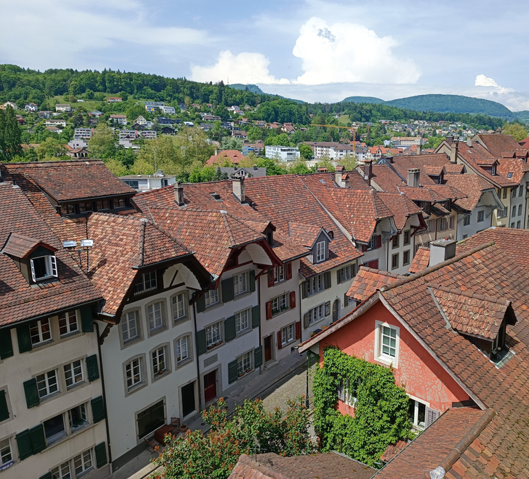 Aarau: Private Walking Tour with a Local Guide