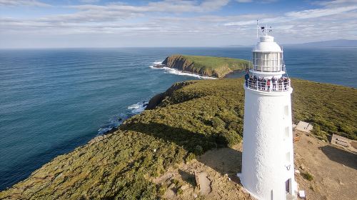 Bruny Island Food, Sightseeing, Guided Lighthouse Tour & Lunch  Day Tours