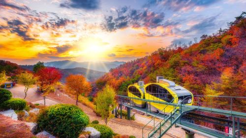 Pocheon Art Valley + The Garden of Morning Calm + Apple / Strawberry Farm Experience One Day Tour (From Seoul)