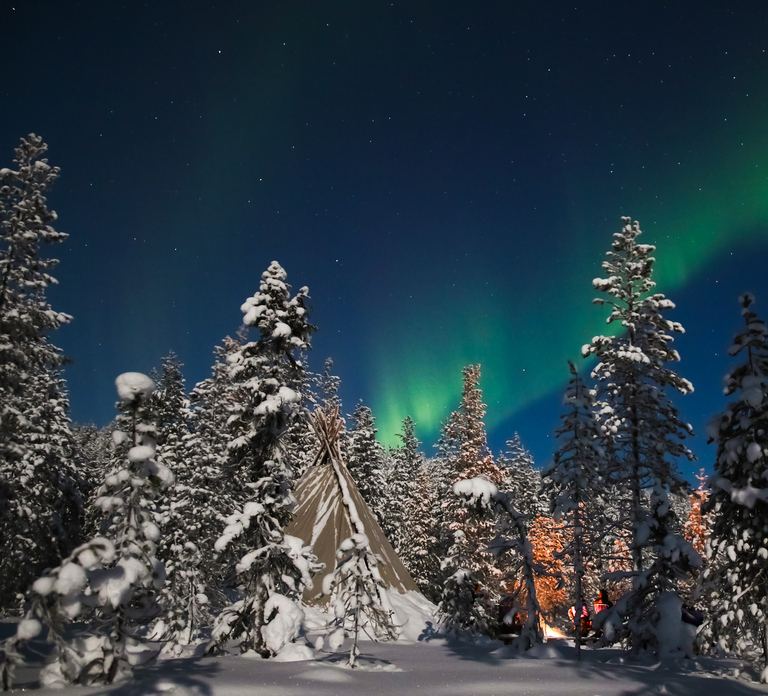 Rovaniemi: Aurora Borealis and Picnic