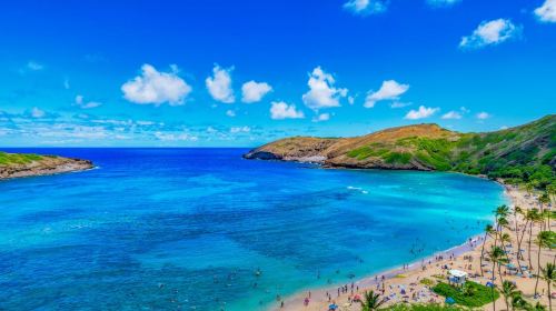 Oahu: Circle Island Top Sights Full-Day Tour w/ Local Guide Day Tours