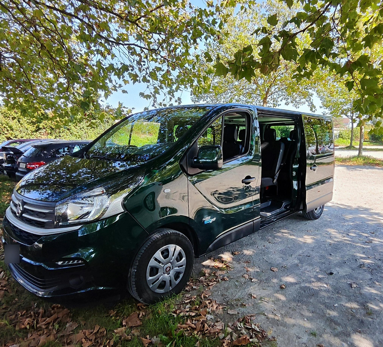Private Transfer between Zurich and Interlaken
