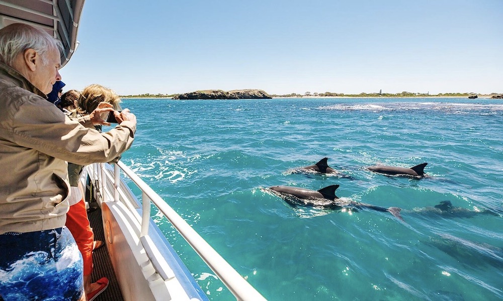 Shoalwater Islands Snorkelling Cruise with Lunch - Spectator
