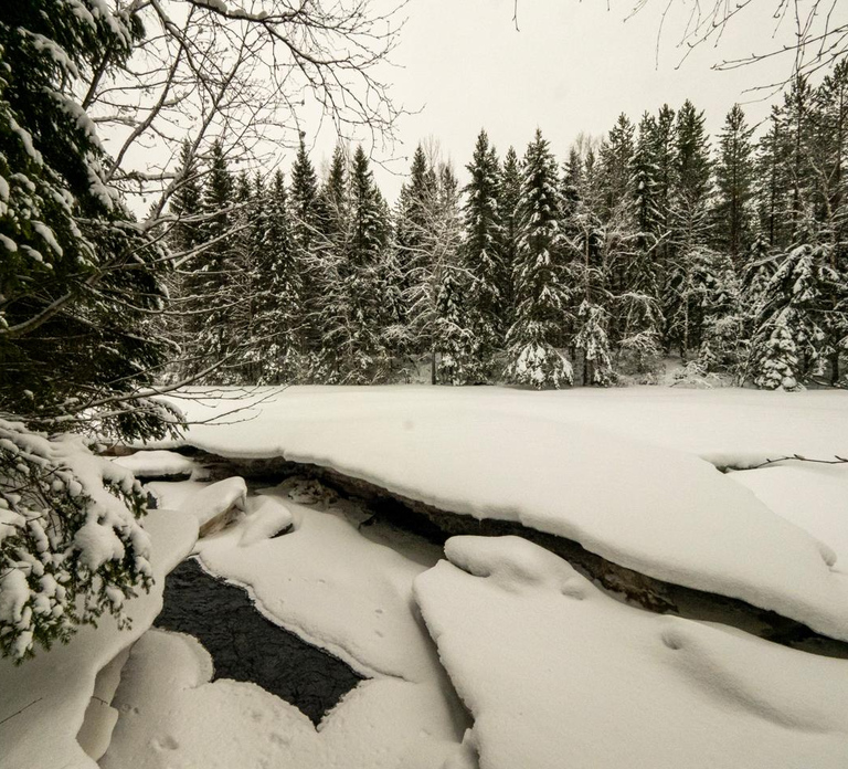 Oulu: Guided Winter Day Trip to Sanginjoki Nature Reserve