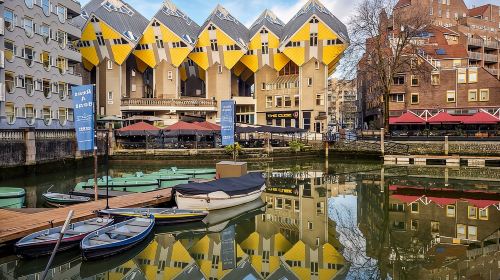 Rotterdam Walk: Hilights, Gems, Architecture & WWII | 2 or 3hrs Day Tours