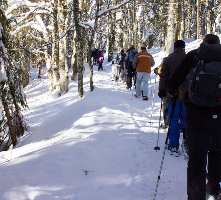 Feldberg: Guided Snowshoeing Tour in the Black Forest