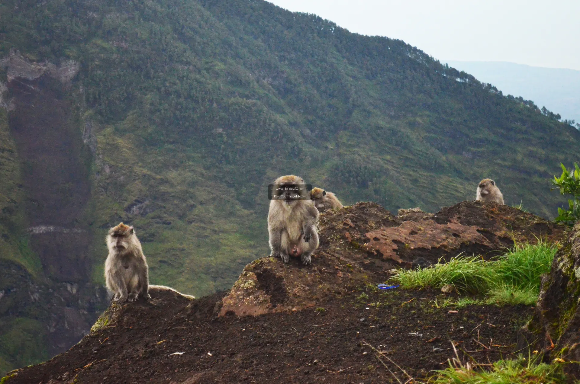 Mount Rinjani Indonesia 004