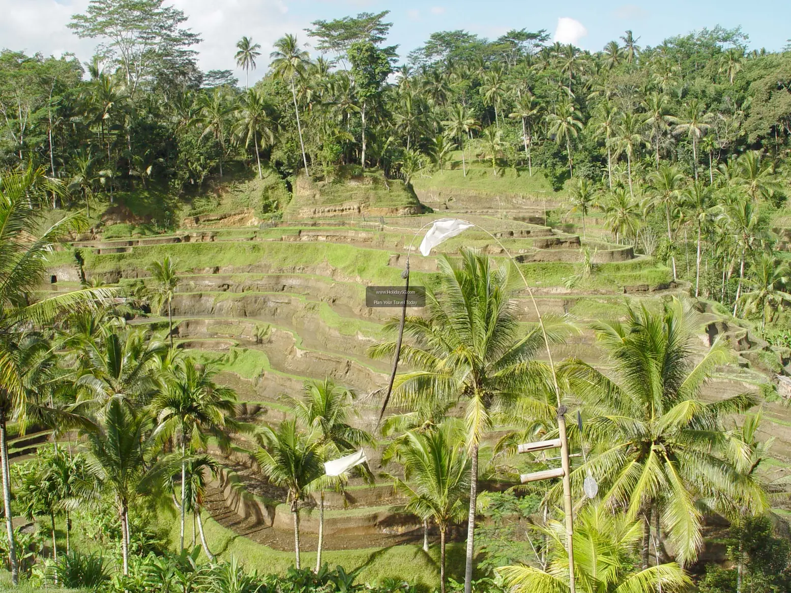 Tegallalang Rice Terraces Indonesia 005