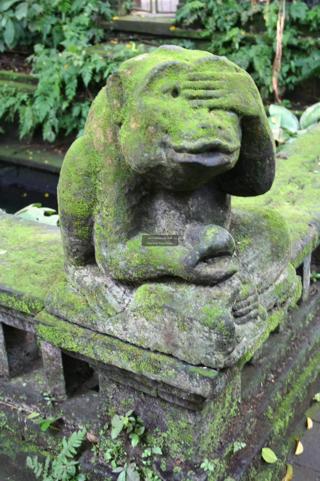 Ubud Monkey Forest Indonesia 001