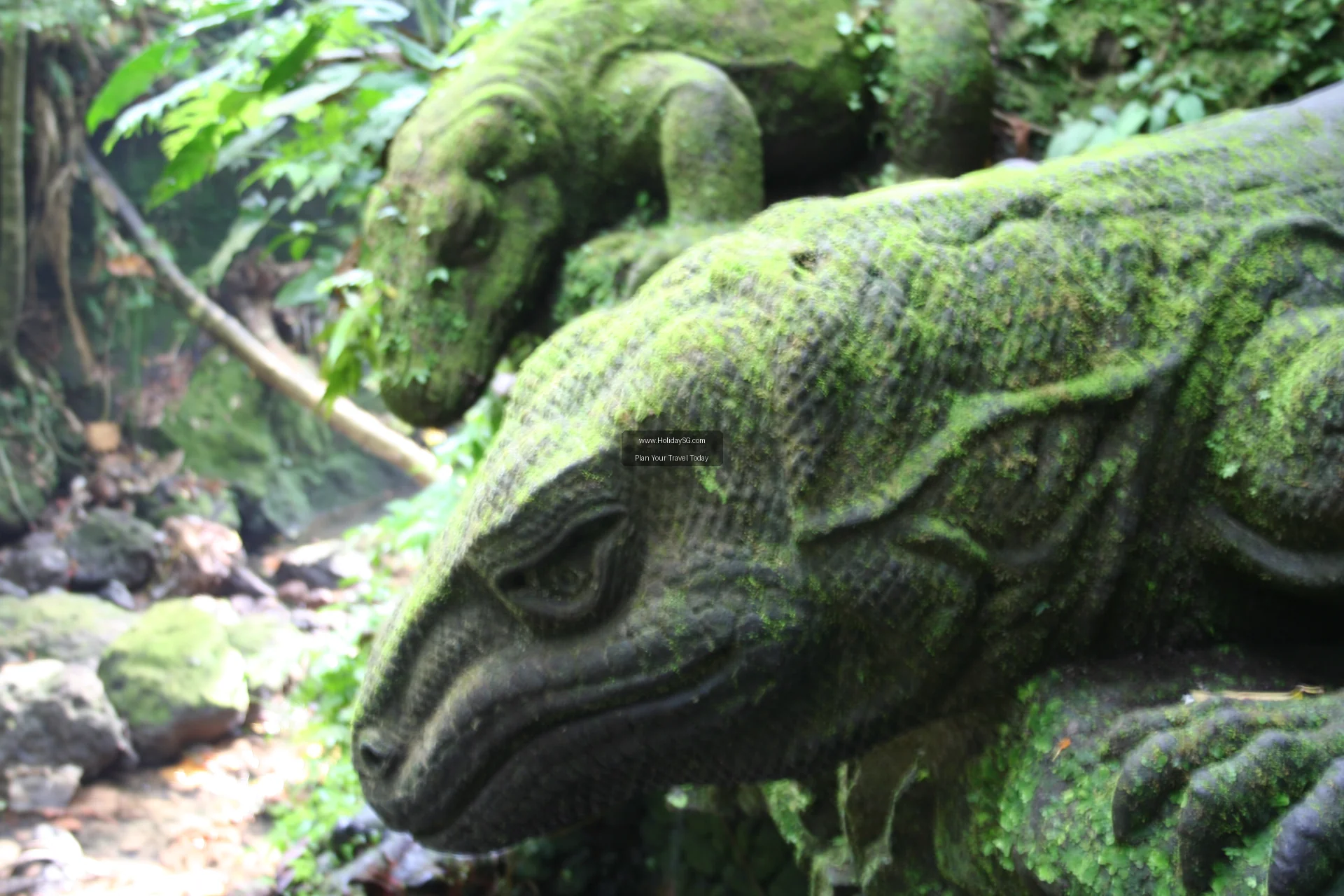 Ubud Monkey Forest Indonesia 002