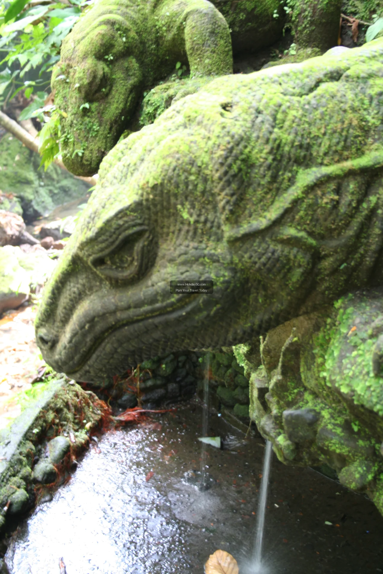 Ubud Monkey Forest Indonesia 003