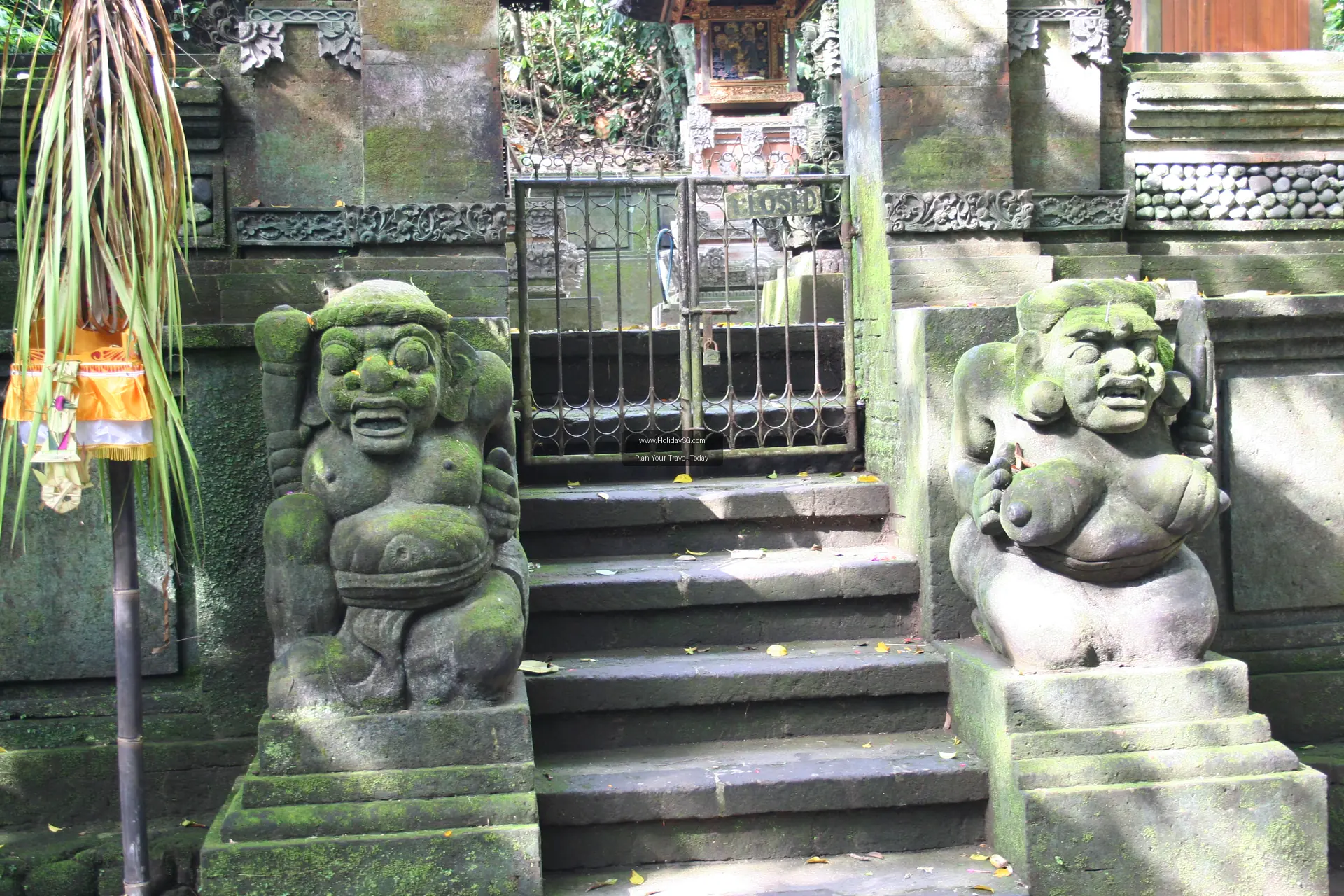 Ubud Monkey Forest Indonesia 004