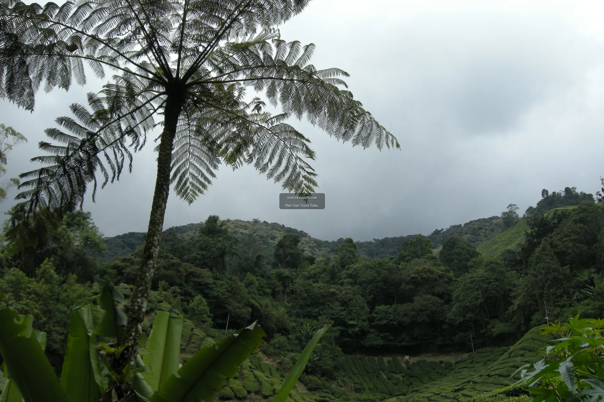 How to Travel from Cameron Highlands Airport to the City