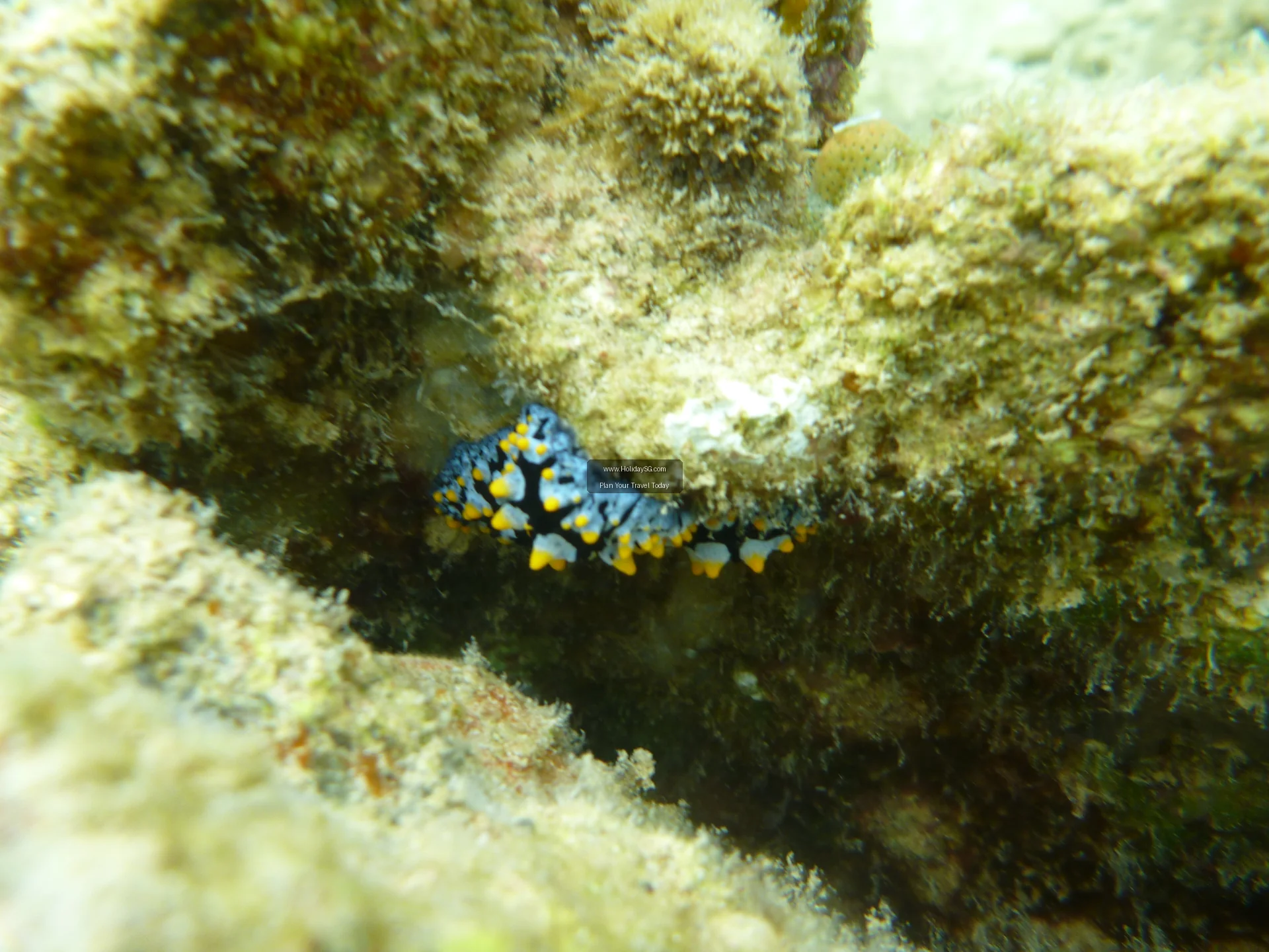 Top Things to Do in Perhentian Islands with Kids