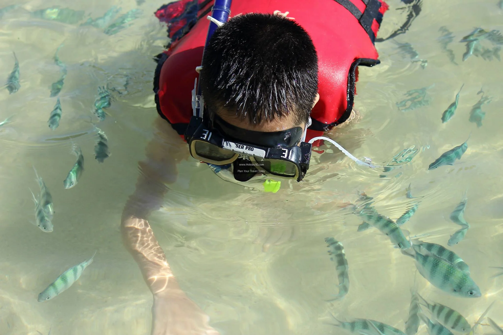 Tunku Abdul Rahman Marine Park Malaysia 002